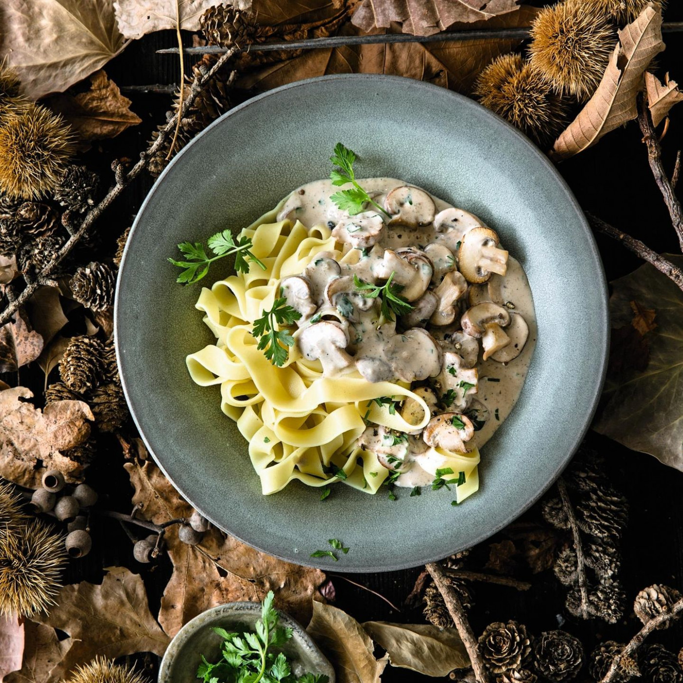 So zaubern Sie eine tolle Pasta mit Pilzen