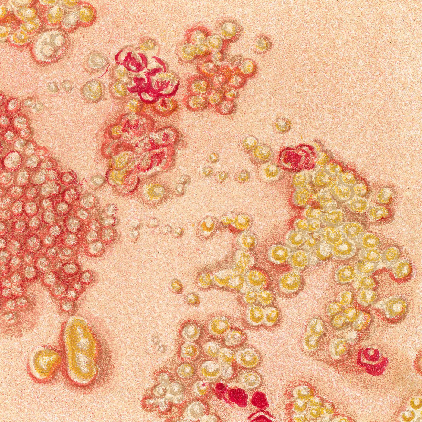 Neue Impfempfehlung: Warum die Gürtelrose so unterschätzt wird