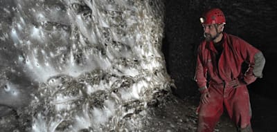 Hundertausende Spinnen bilden tief in einer Höhle ein gigantisches Netz