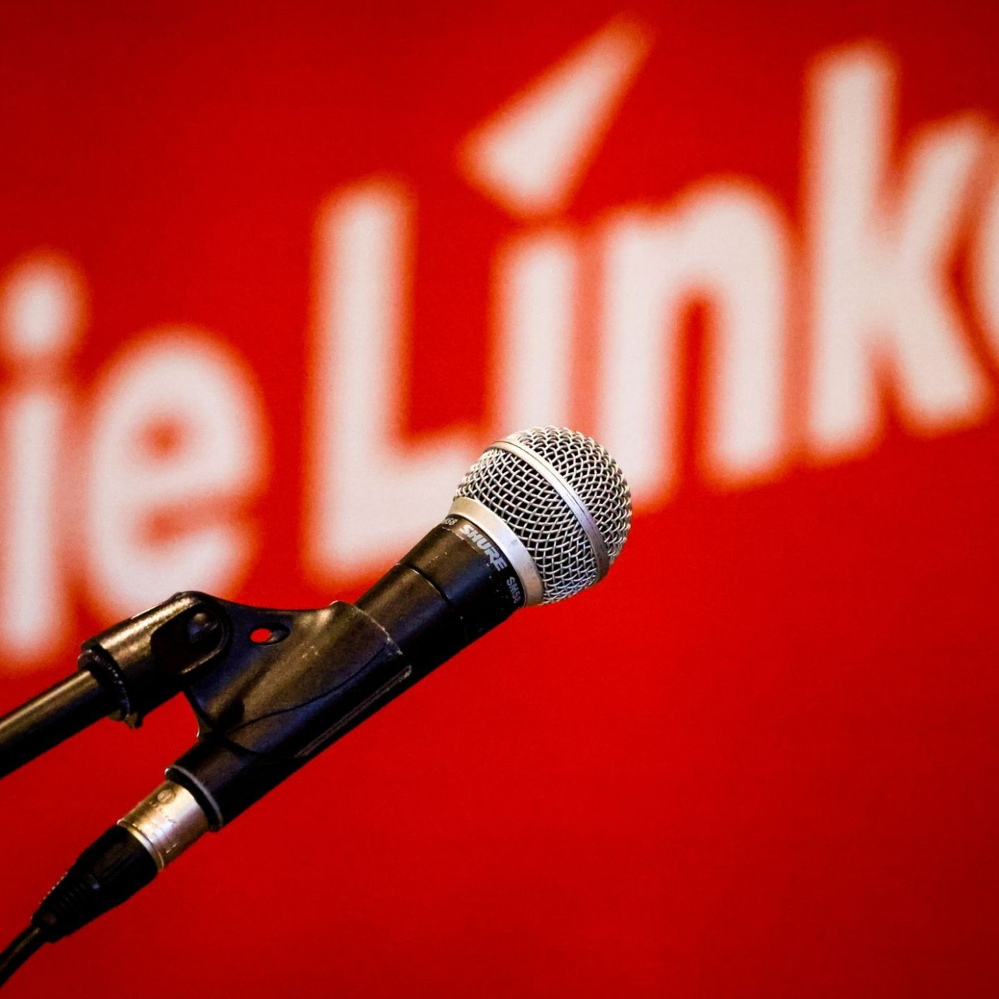 Linke warnt vor Antisemitismus - Verwahrt sich gegen Kritik
