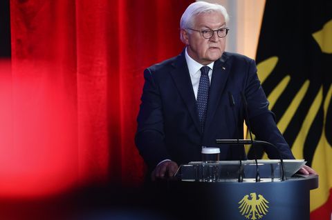 Warnung vor der AfD: Darf Steinmeier so parteiisch sein?