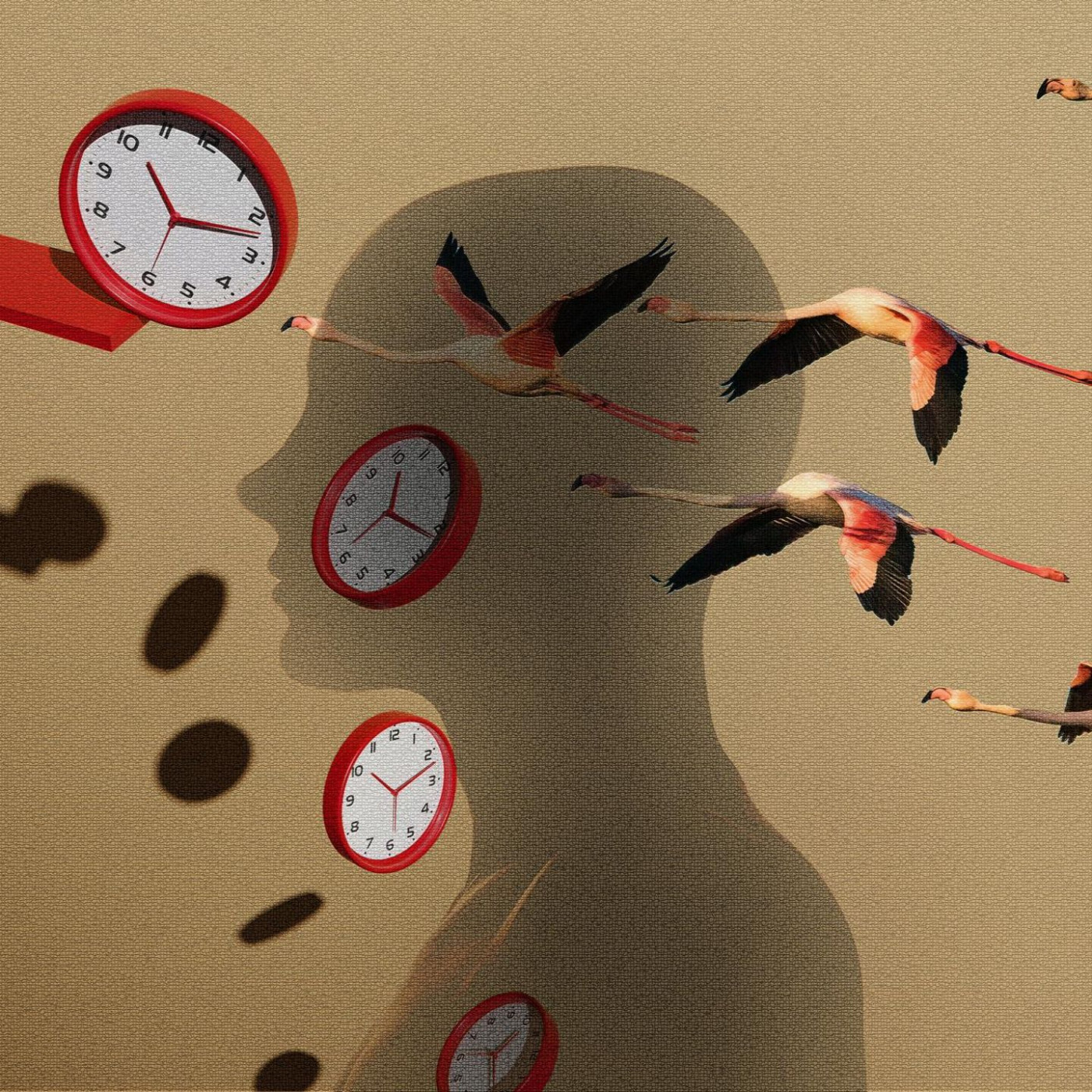 Der perfekte Tag: So nutzen Sie Ihren Biorhythmus