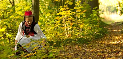 Zu Rotkäppchen ins Märchenland, wo heute wieder Wölfe heulen