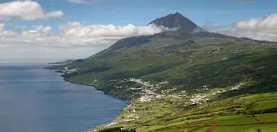 Warum plötzlich alle nach Lissabon wollen