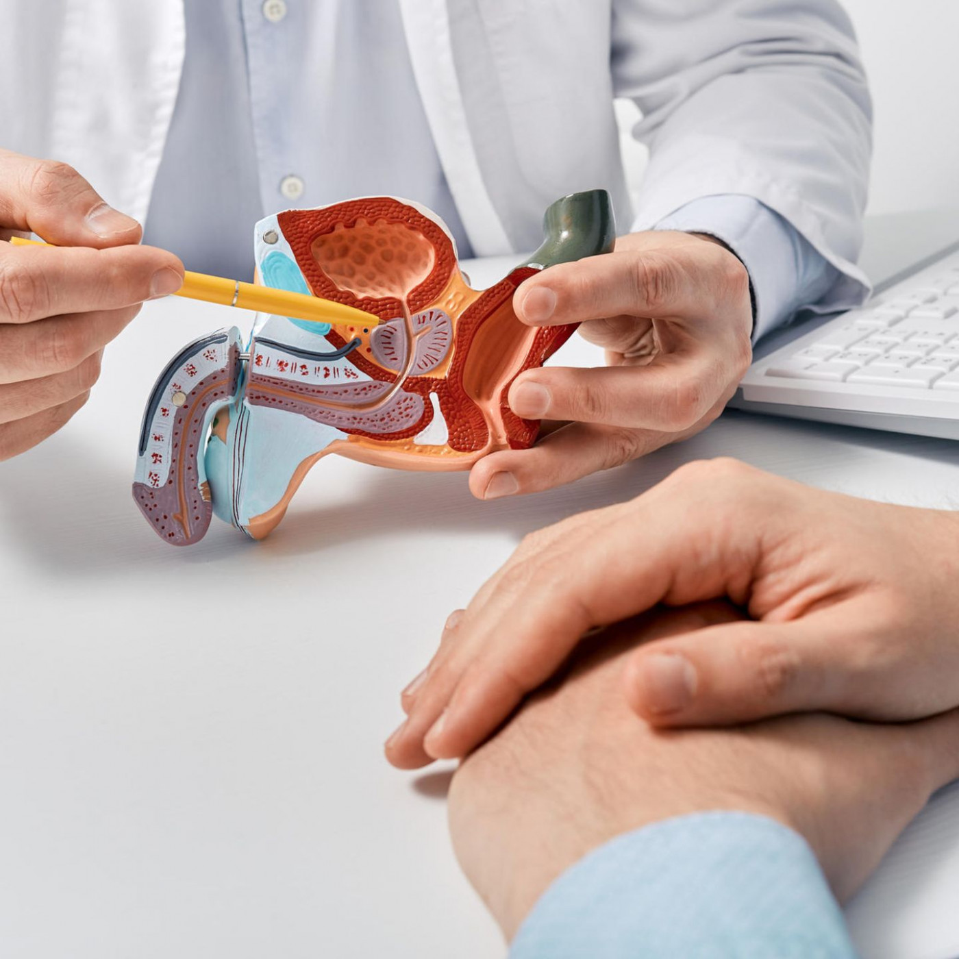 Urologe erklärt: Wann Sie spätestens zur Vorsorge gehen sollten – und warum das so wichtig ist