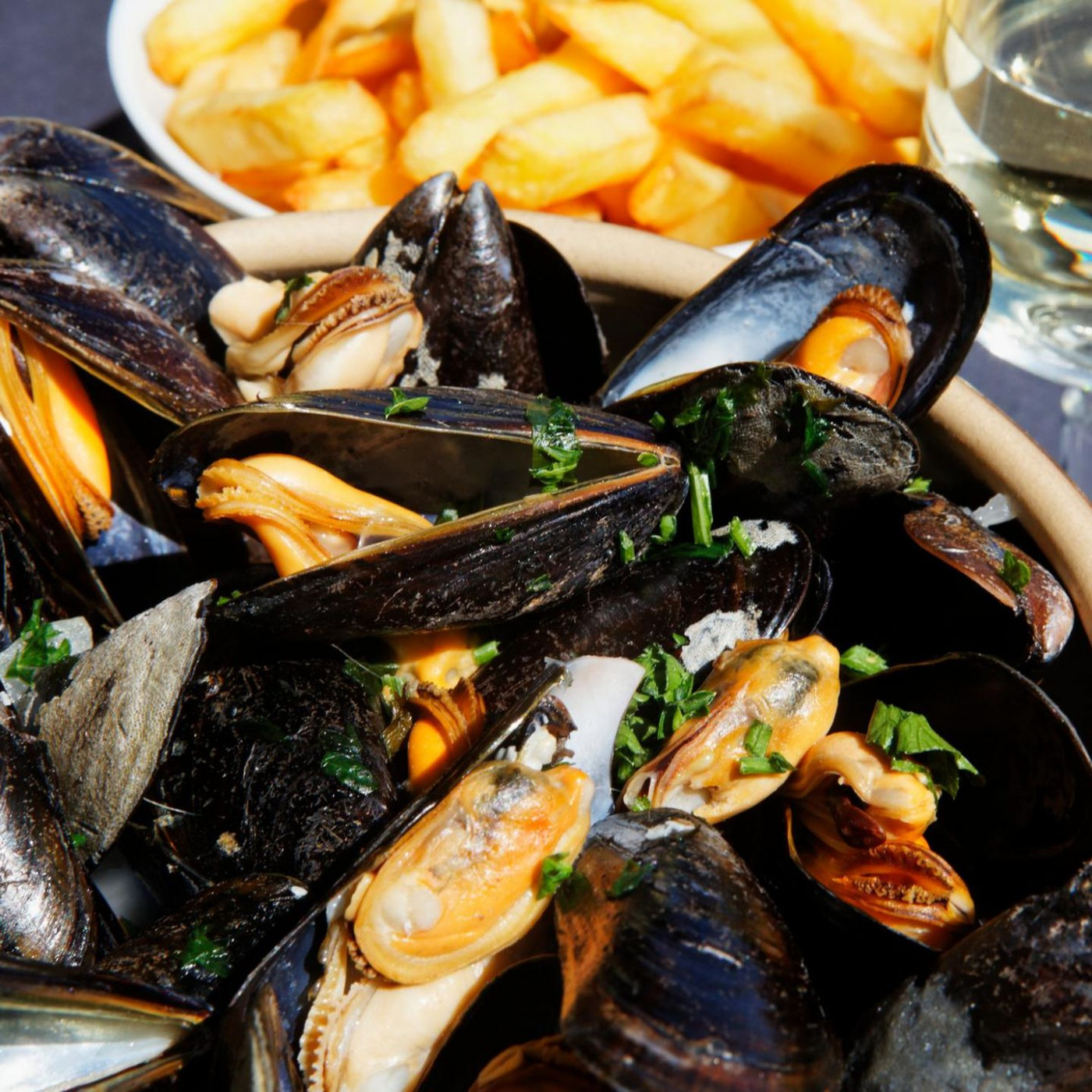 Muschelvergiftung: Wenn die Meeresfrüchte zum Risiko werden