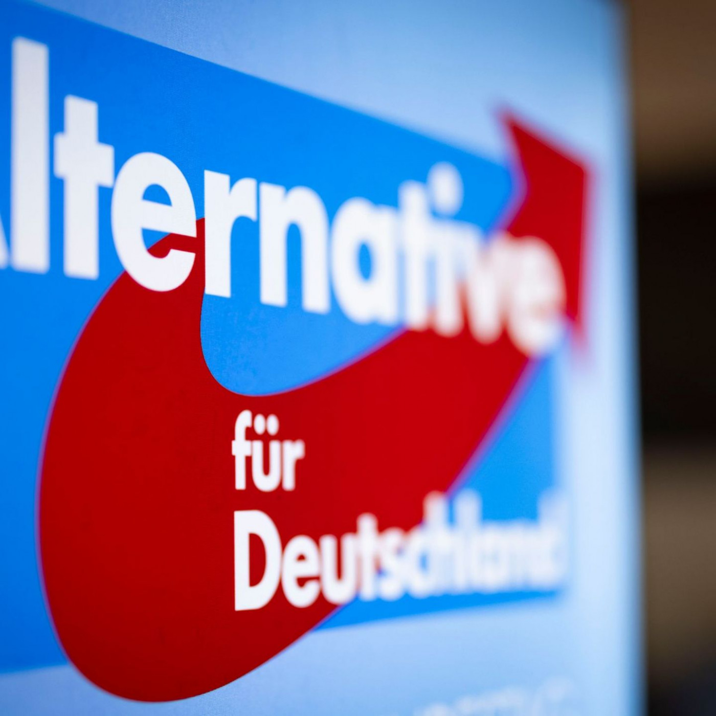AfD verliert im Markenstreit vor EU-Behörde