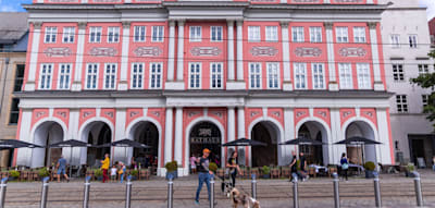 Drei AfD-Abgeordnete verlassen in Rostock Fraktion und Partei