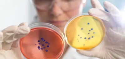 „Eine geimpfte Bevölkerung ist eine gute Maßnahme gegen Resistenzen“