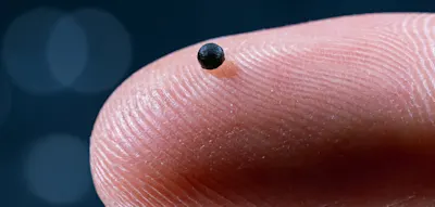 Winzige Roboter-Kapsel rollt durch Hirngefäße und löst Blutgerinnsel auf