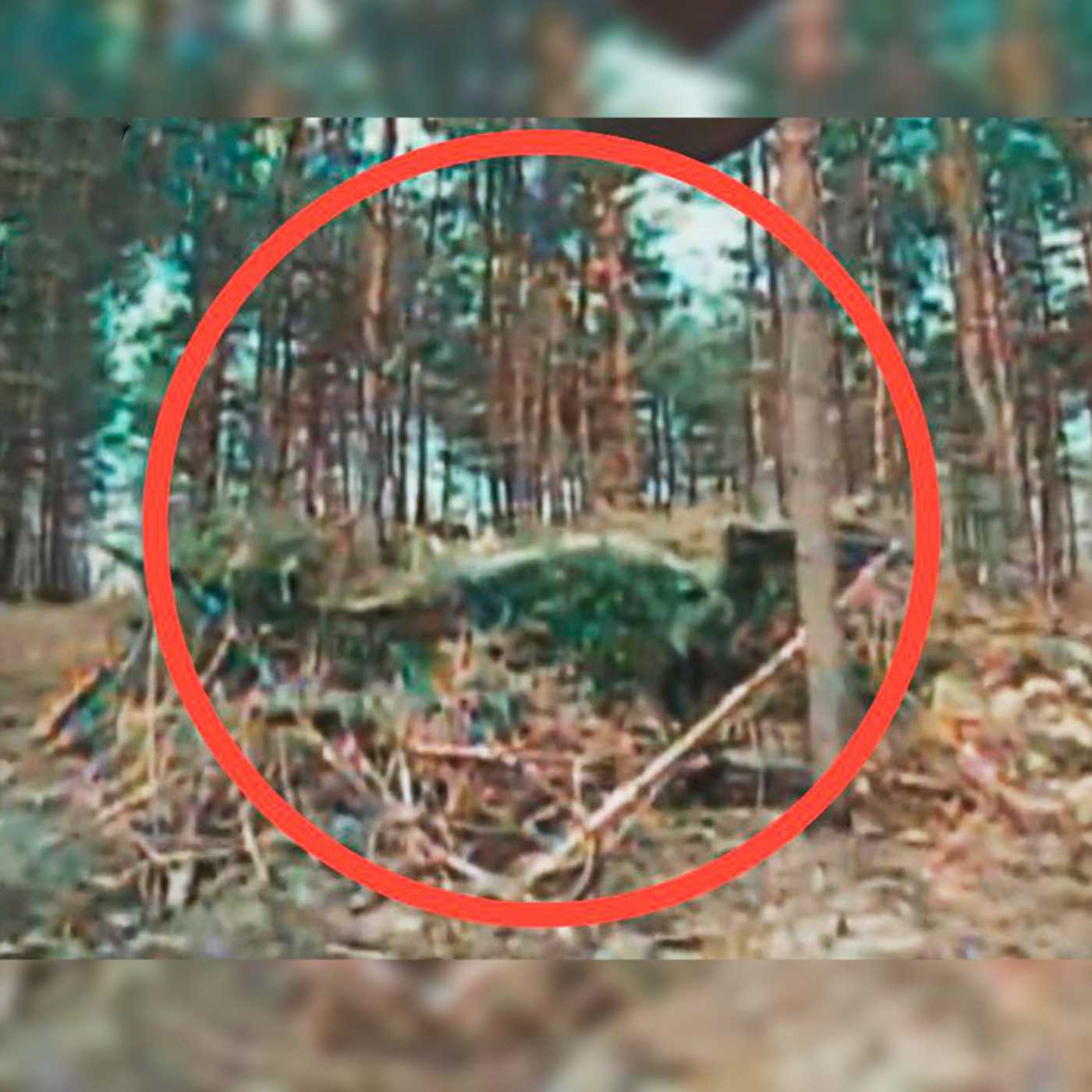 Ukrainer spüren versteckten russischen Panzer auf