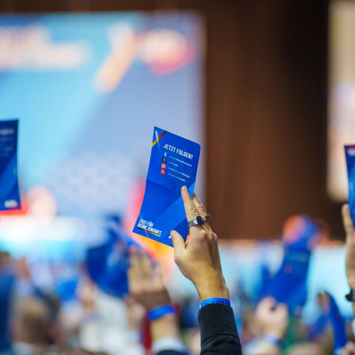 AfD gründet neue Jugendorganisation Generation Deutschland