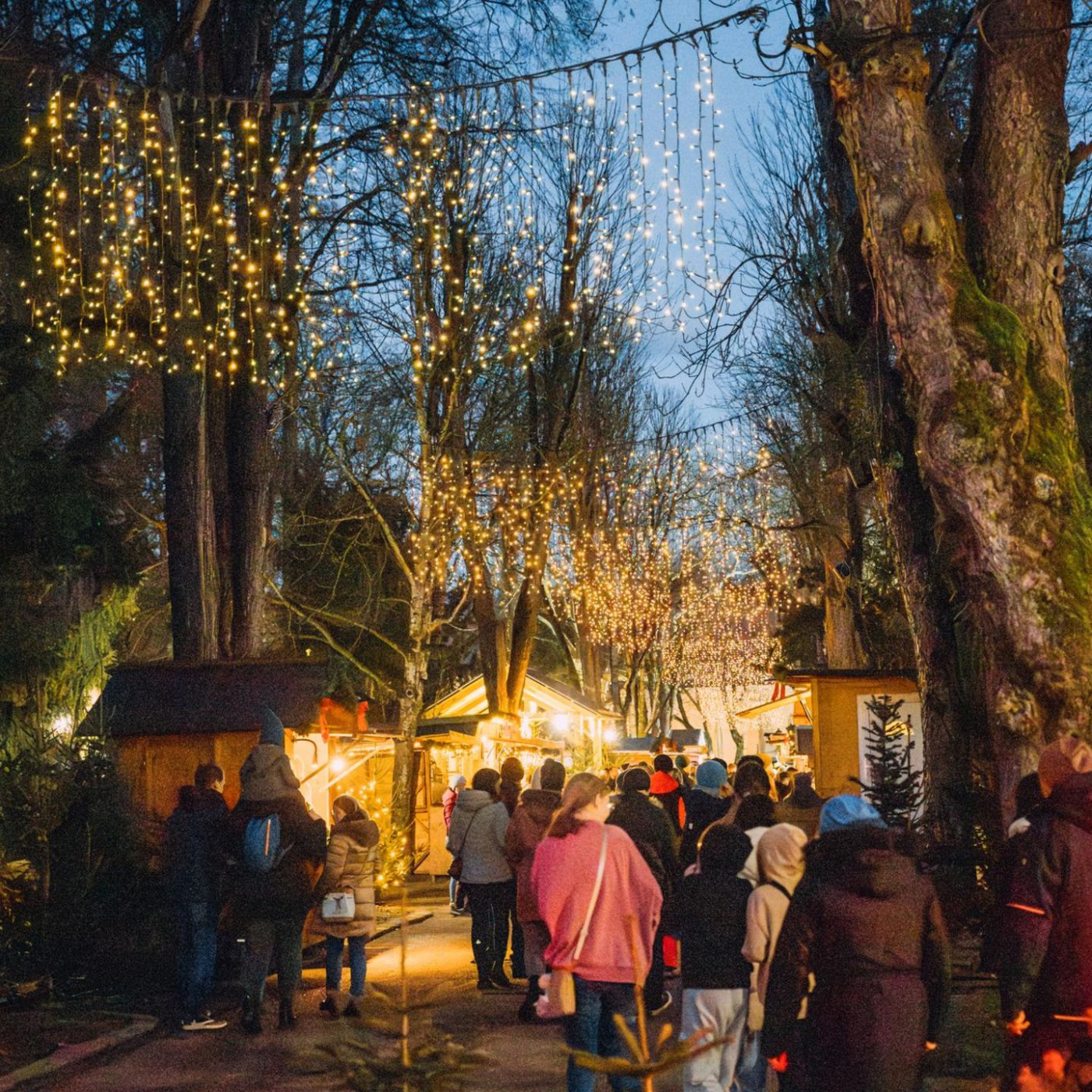 Stadt, Land, Sonne: Wohin im Dezember?