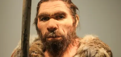 Neandertaler a&szlig;en offenbar Frauen und Kinder eines anderen Stammes