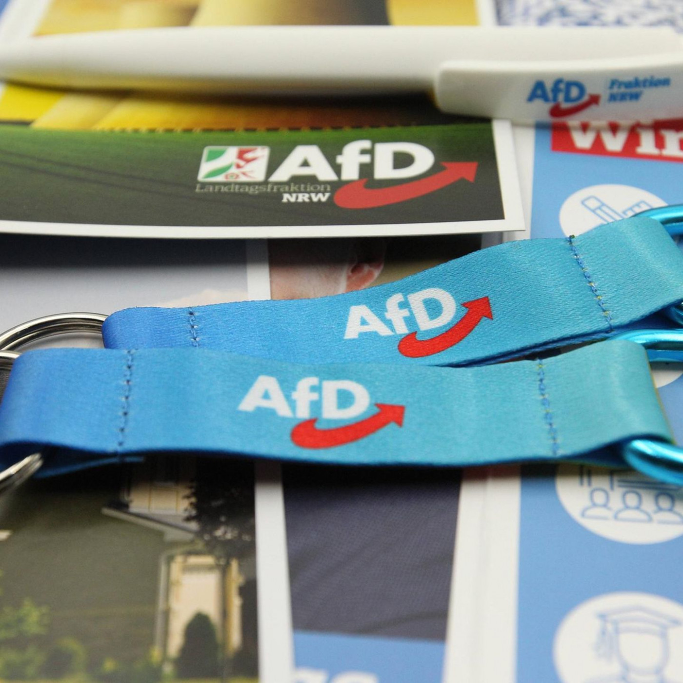 Kontaktverbot zur AfD? So denken die Deutschen dar&uuml;ber