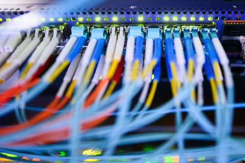 Sorge um Datenzugriff: Was passiert bei einer AfD-Regierung?