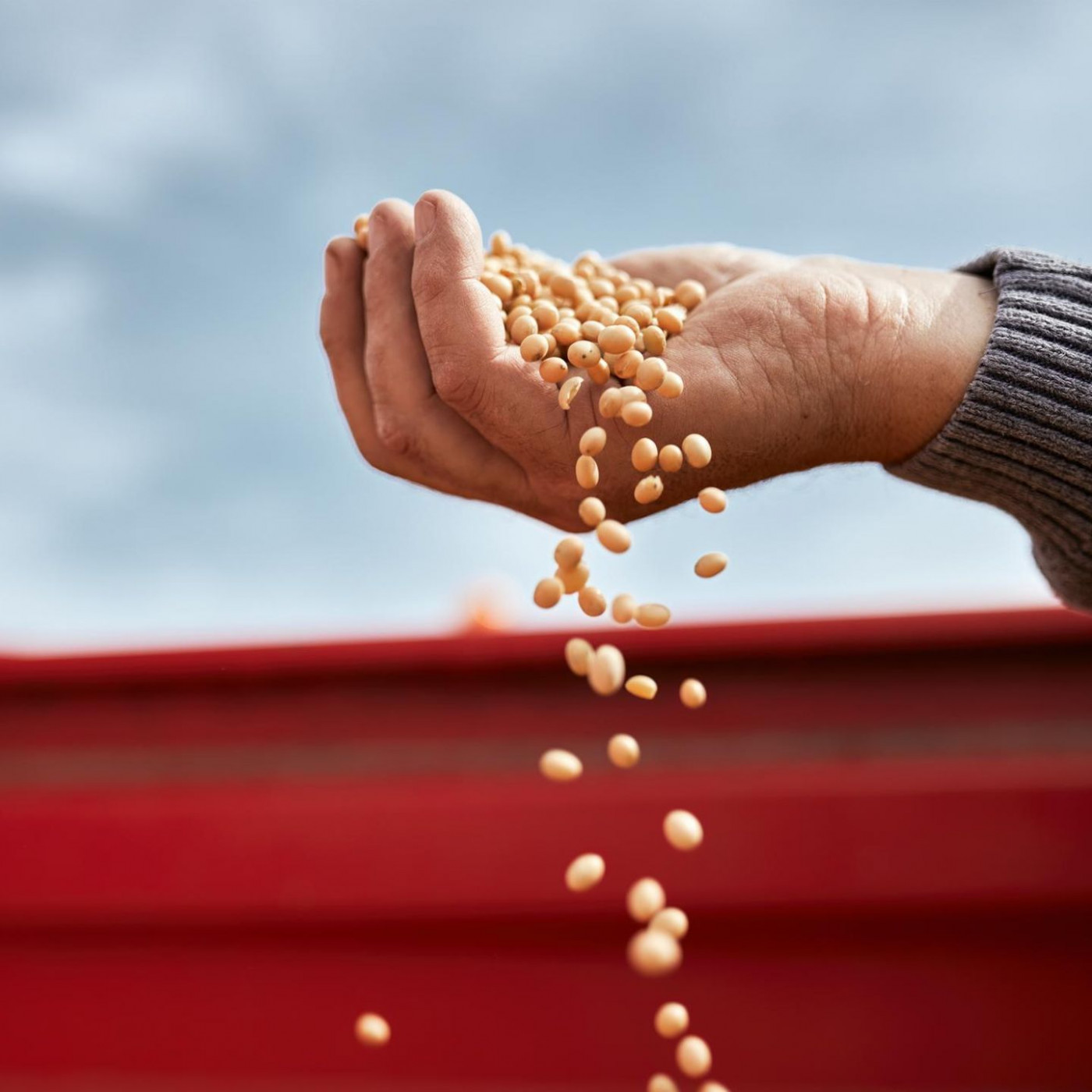 Diese Lebensmittel stecken voller gesunder Omega-3-Fetts&auml;uren