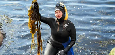 So schmeckt der Fjord &ndash; &bdquo;Bluefood&ldquo;-Tour an Schwedens K&uuml;ste