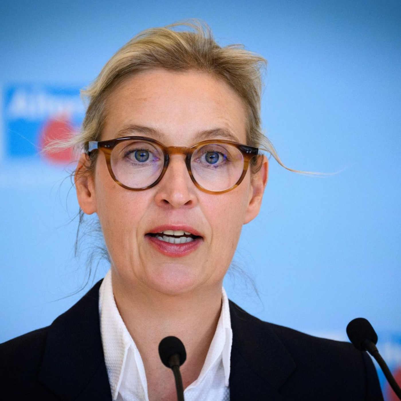 Alice Weidel nennt Verfassungssch&uuml;tzer "schmierige Stasi-Spitzel"