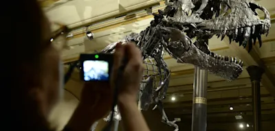 Wie Russen-Hacker per &bdquo;Brute-Force-Angriff&ldquo; eine Berliner Institution lahmlegen &ndash; auf Jahre