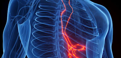 &bdquo;Typ 4 w&auml;re optimal&ldquo; &ndash; warum Ihr Stuhl mehr &uuml;ber Ihre Gesundheit sagt, als Sie denken