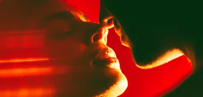 Absolute Treue unter Partnern gibt es nur bei einem einzigen S&auml;ugetier