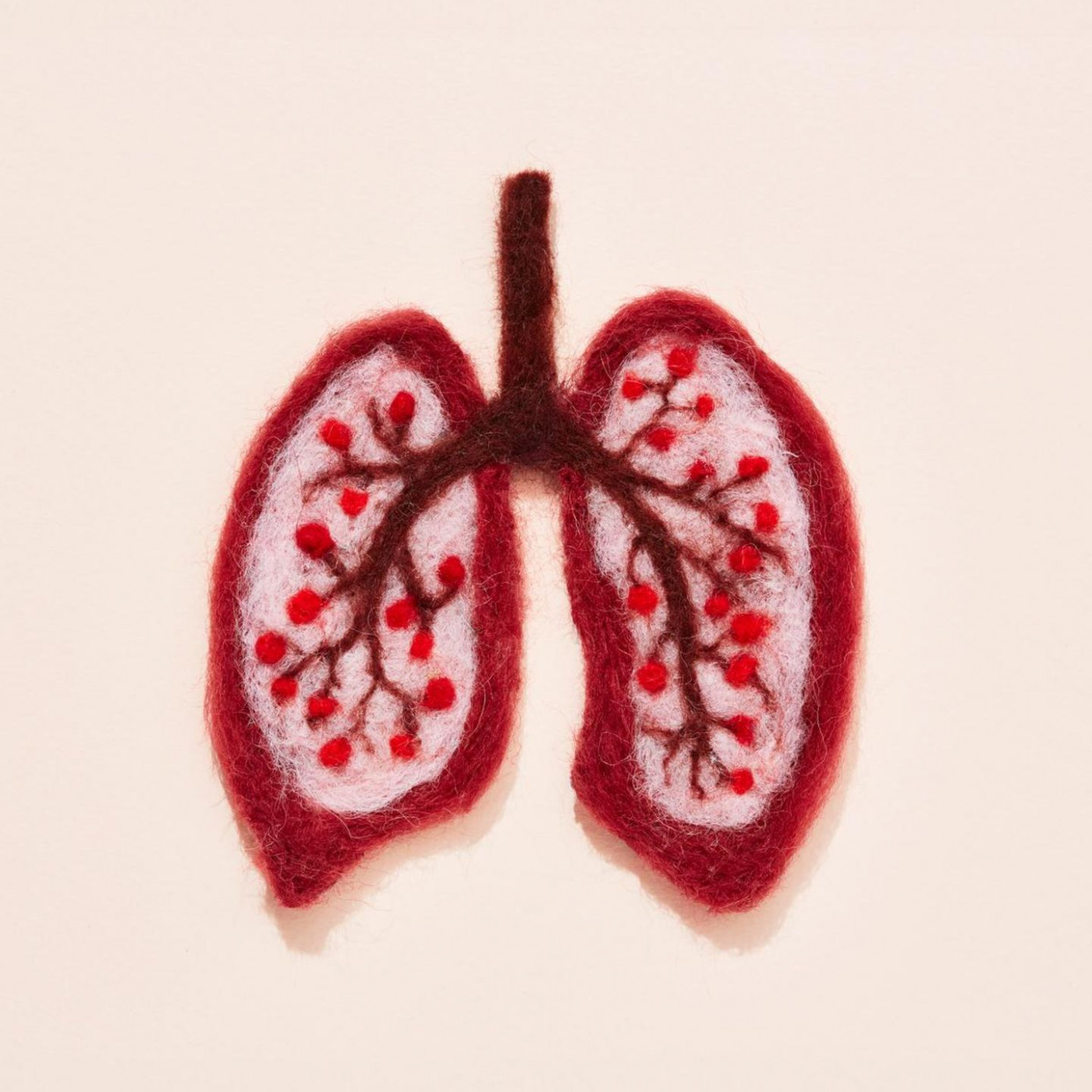 Die gef&auml;hrliche Lungenkrankheit, die jeder ernst nehmen sollte