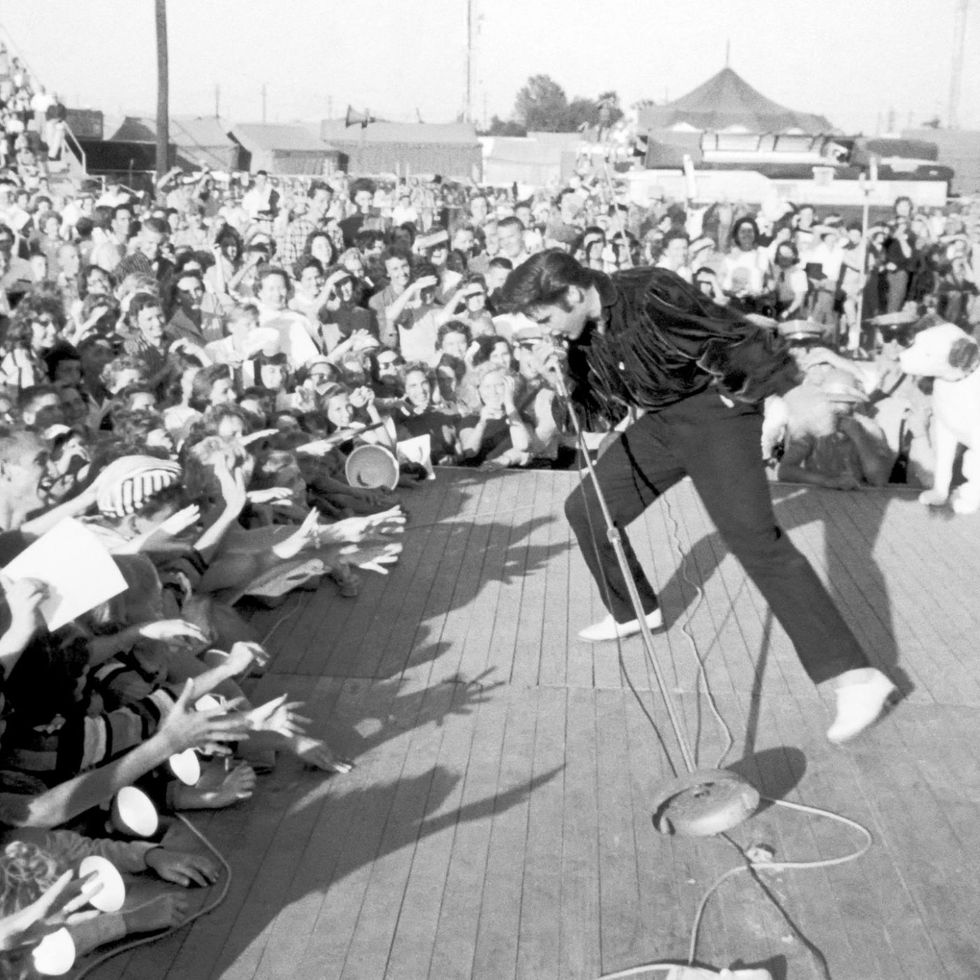 Die Qualen ber&uuml;hmter K&ouml;pfe