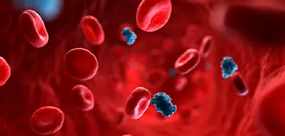 Der immense Einfluss des Blutzuckerspiegels auf das Sterberisiko