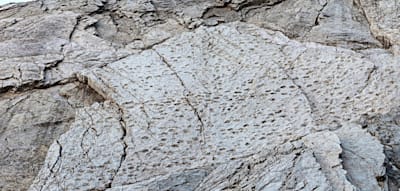 Forscher entdecken Dinosaurier-Tal mit tausenden Spuren in den Alpen