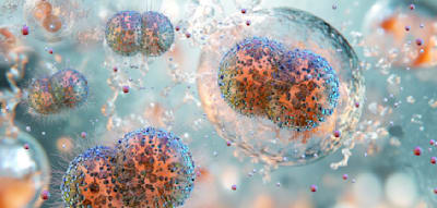 Gefahr von &bdquo;massiven Resistenzen&ldquo; &ndash; der risikoreiche Kampf gegen den Tripper