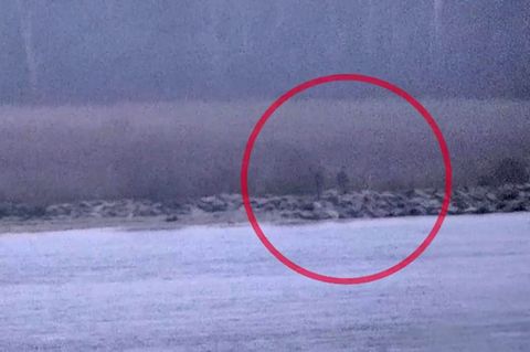 Estland meldet illegalen Grenz&uuml;bertritt von russischen Beamten