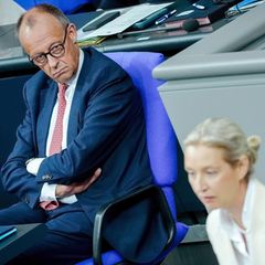 AfD weiter an der Spitze &ndash; "Werte sind verheerend f&uuml;r den Kanzler"