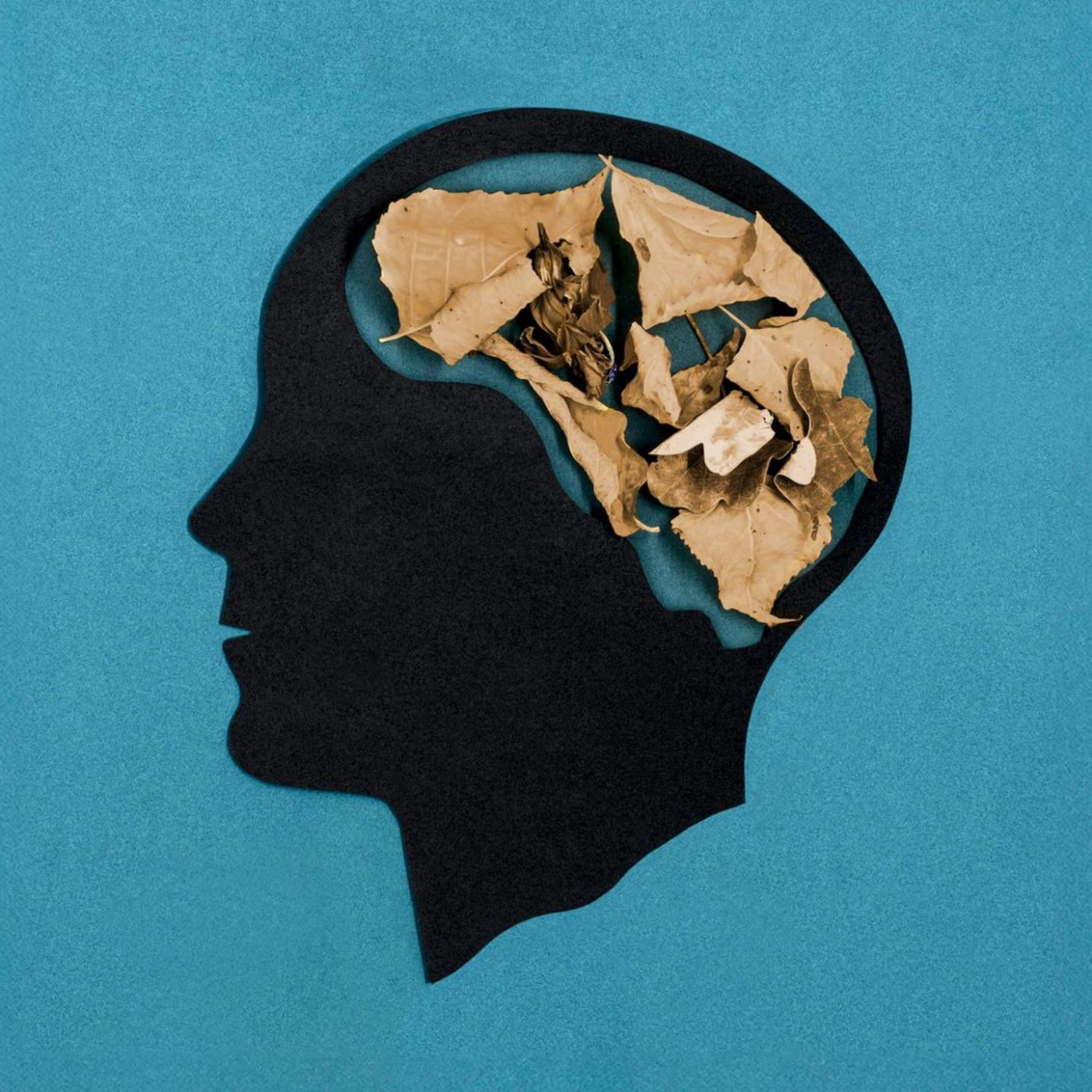 ChatGPT kann das Ged&auml;chtnis nicht ersetzen &ndash; wie wir es trotz KI fit halten