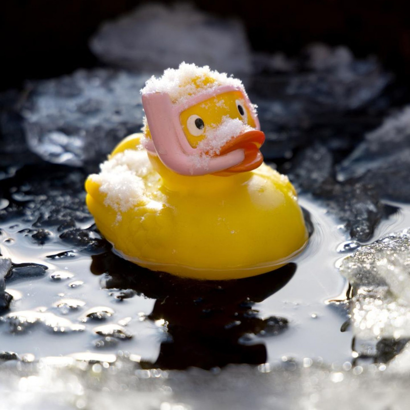 Warum Sie &ouml;fter mal frieren sollten