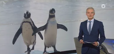 Pinguine statt Berlin-Blackout &ndash; Zuschauer kritisieren &bdquo;bizarre &sbquo;Tagesschau&lsquo;&ldquo;