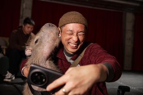 "Sie geben einem die Liebe, die man als Kind nie bekommen hat"