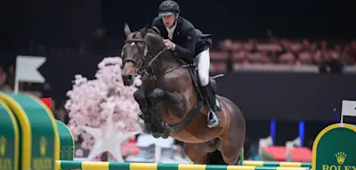 Zwischen Millionenserie und Turniersterben &ndash; Deutschland steht am Scheideweg