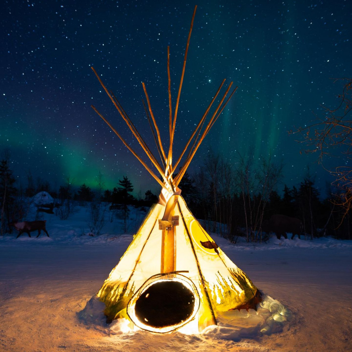Dies ist einer der weltbesten Orte, um Polarlicht zu sehen