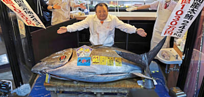 Restaurantbesitzer zahlt Millionen f&uuml;r diesen besonderen Fisch