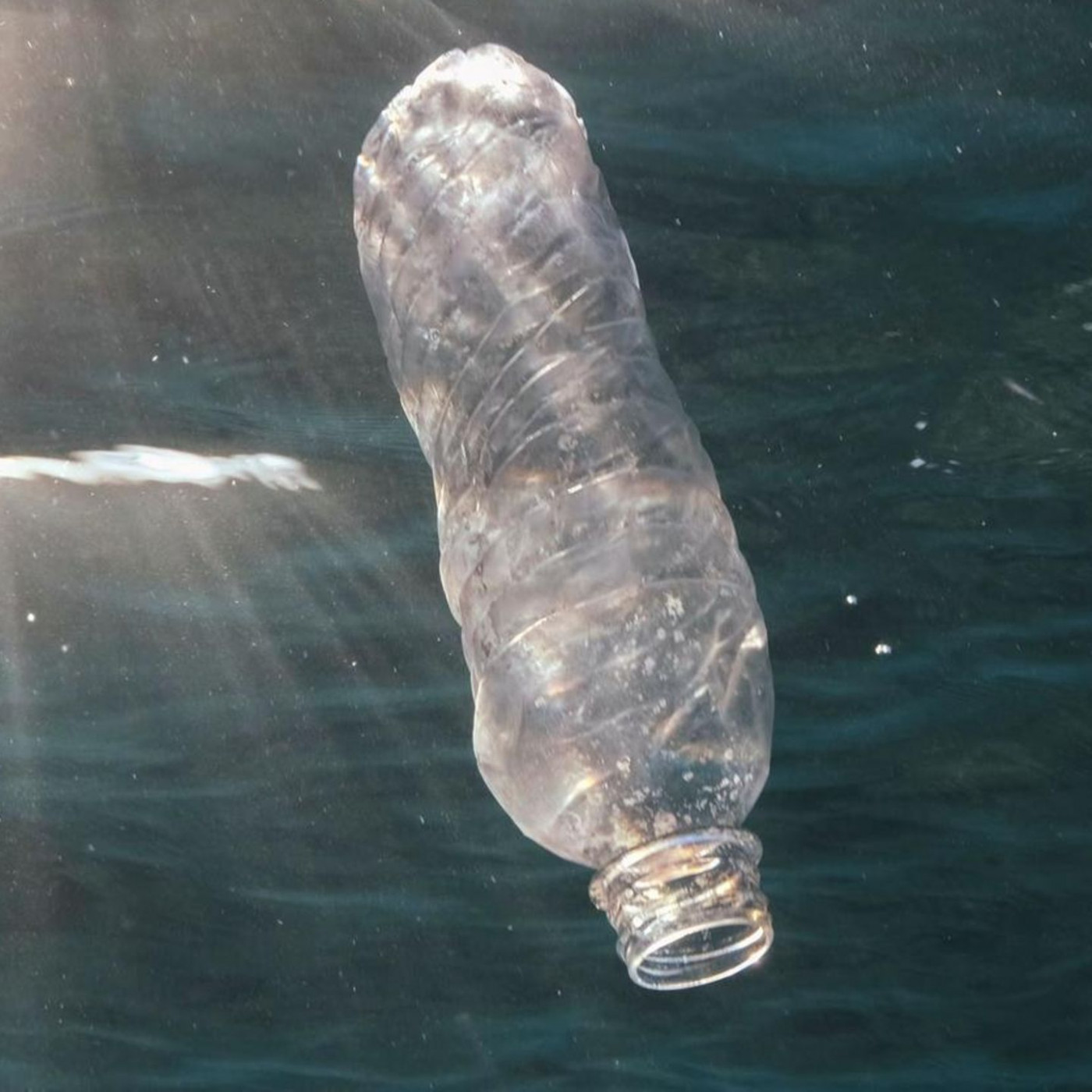 UN-Meeresschutzabkommen kommt: "Meilenstein im internationalen Recht"