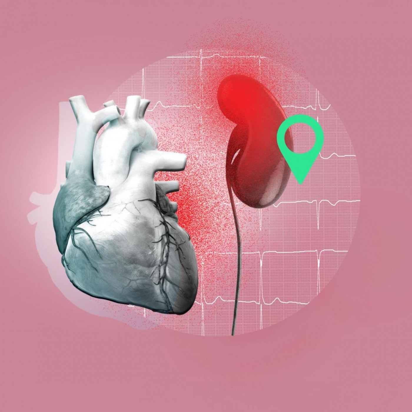 Was hinter dem mysteri&ouml;sen Herzrasen einer jungen Frau steckt