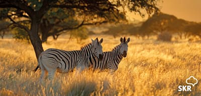 15 Tage S&uuml;dafrika in kleiner Gruppe erleben