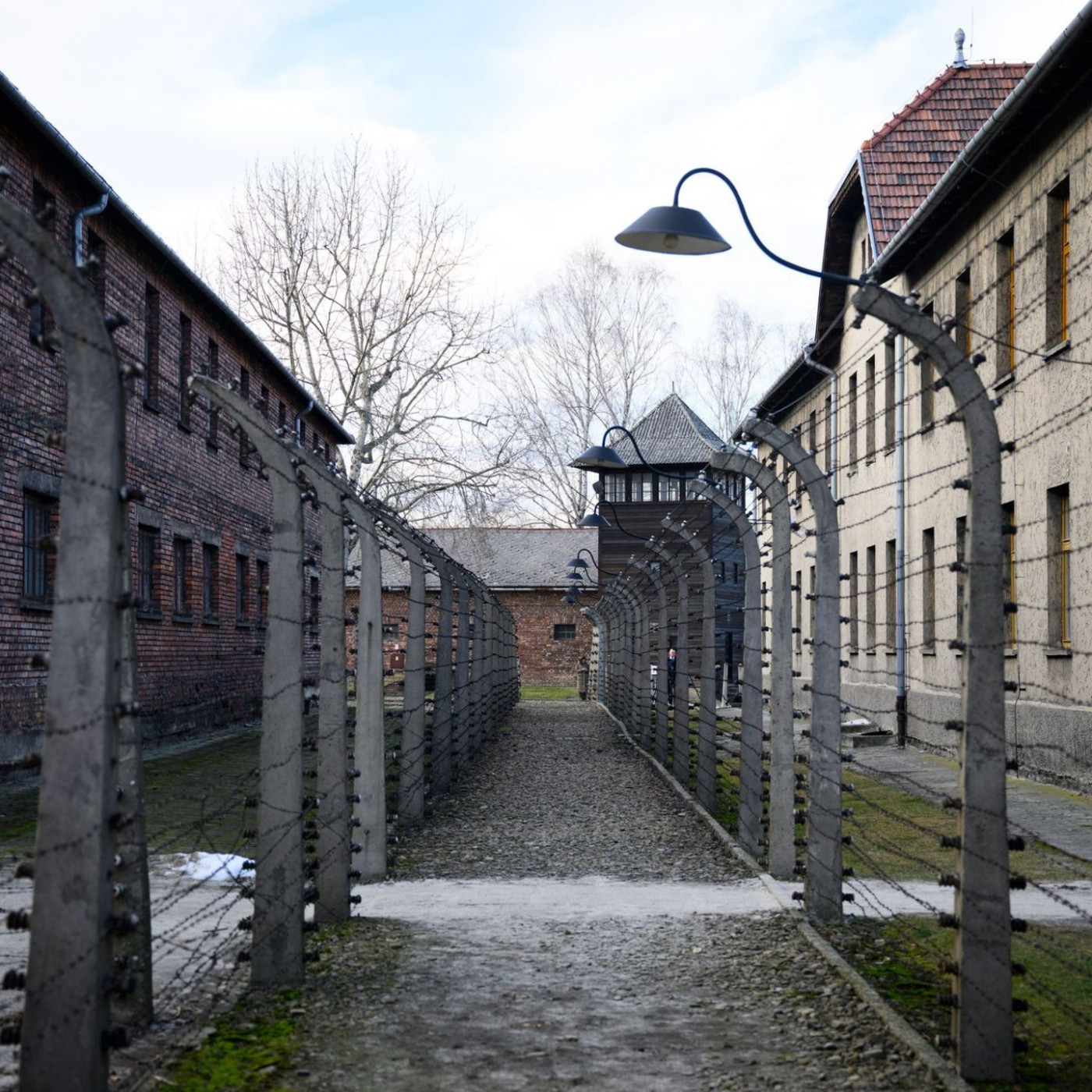 Holocaust-&Uuml;berlebende: Verteidigen Sie die Demokratie