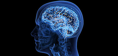 Wie das Gehirn uns abh&auml;lt, schwierige Aufgaben anzugehen