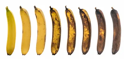 Braune Bananen in den Babybrei? &bdquo;Auf gar keinen Fall&ldquo;