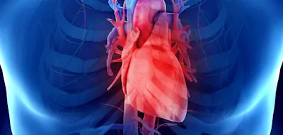 &bdquo;Dieser Zeitpunkt mag fr&uuml;h erscheinen, aber Herzkrankheiten entwickeln sich &uuml;ber Jahrzehnte&ldquo;