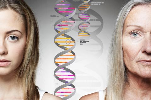 Ist Langlebigkeit erblich? Was unsere Gene dar&uuml;ber verraten