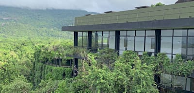 Hier ist der Dschungel keine Kulisse, sondern Gastgeber