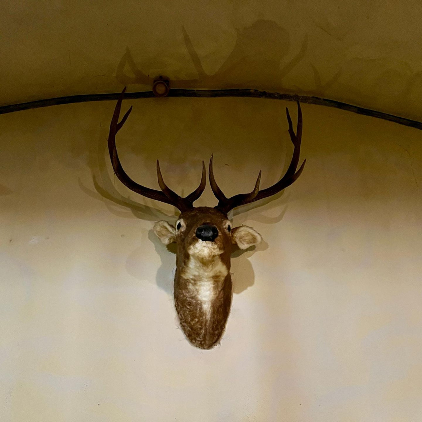 Zuarbeit f&uuml;r einen Rechtsextremisten